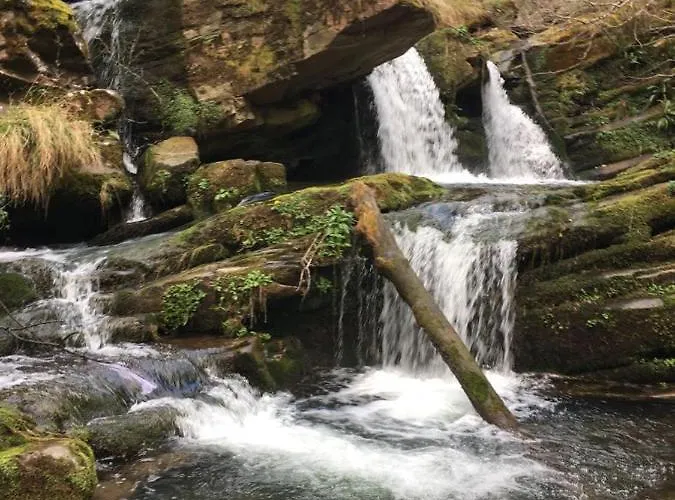 Bed & Breakfast La Valuisilla, Rural