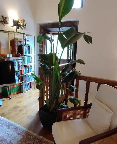 Bed & Breakfast La Valuisilla, Rural