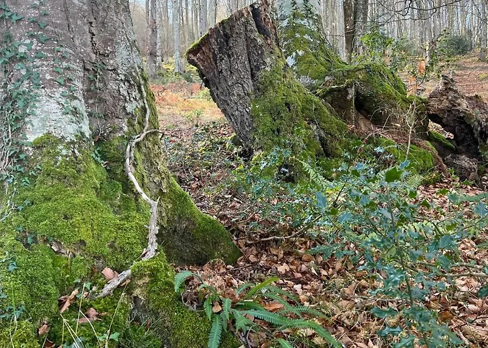 La Valuisilla, Rural *