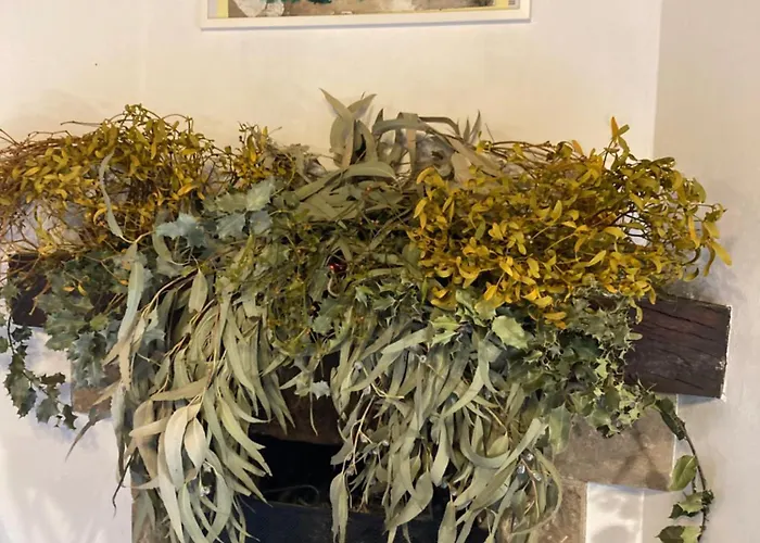 Bed & Breakfast La Valuisilla, Rural *